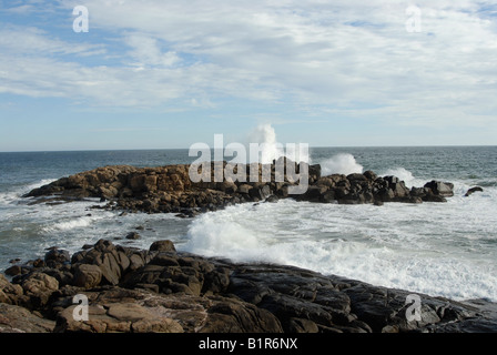 Wellen und Felsen am Strand von Kovalam, Kerala, Indien Stockfoto
