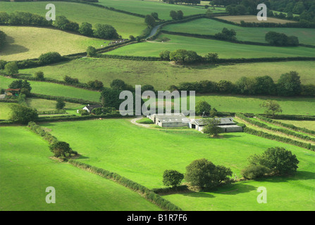 Üppigen grünen Ackerland Felder, Great Torrington, Devon, UK Stockfoto