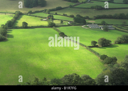 Üppigen grünen Ackerland Felder, Great Torrington, Devon, UK Stockfoto