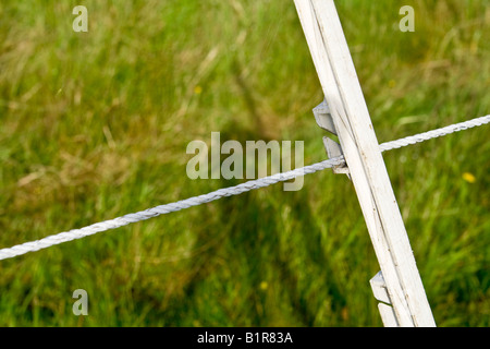 Eine Nahaufnahme von einem Elektrozaun, UK. Stockfoto