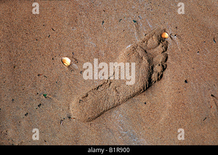 Fußabdruck im Sand mit Muscheln rund um Stockfoto