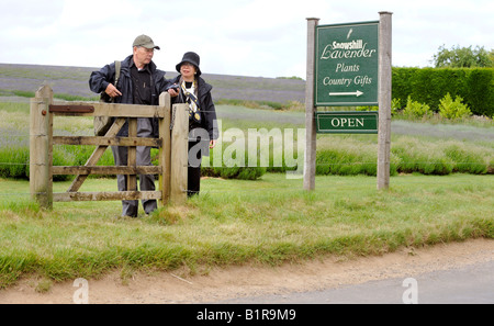 Snowshill Lavender Farm in den Cotswolds - Besucher verlassen das Feld in der Nähe von Zeichen. Bild von Jim Holden. Stockfoto