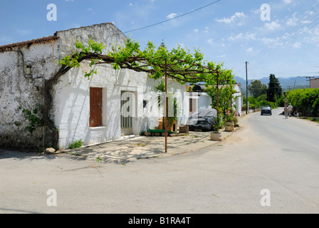 Das alte Haus mit Pergola in Platanias Landschaft, Kreta, Griechenland, Europa. Stockfoto