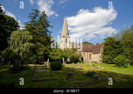 Strand Hochkirche Epping Forest Essex Stockfoto