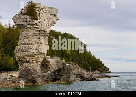 Profil-Gesicht im großen Blumentopf auf Blumentopf Insel Bruce Peninsula Ontario Stockfoto