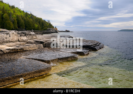 Niagara Escarpment Kalkstein Regale auf dem Ufer von Blumentopf Insel Bruce Peninsula Ontario Stockfoto