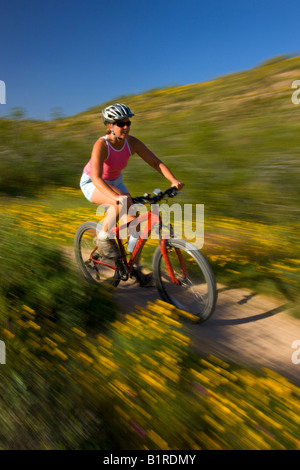 Mountainbiken in McDowell Mountain Regional Park in der Nähe von Fountain Hills außerhalb von Phoenix Arizona Modell veröffentlicht Stockfoto