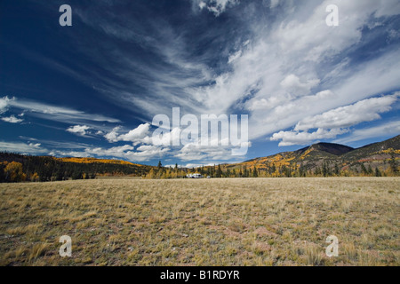 Camping im Herbst Colorado Stockfoto