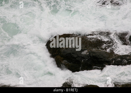 Felsen und Wellen am Strand von Kovalam, Kerala, Indien Stockfoto