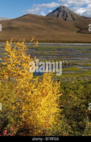 Blackstone River im Herbst, Dempster Highway, Youkon Territorium, Kanada Stockfoto