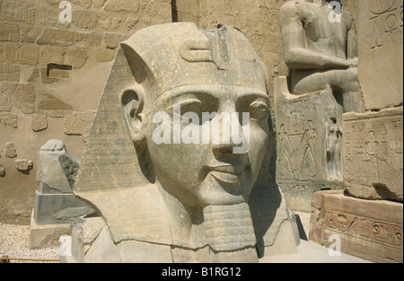 Stein-Statue von Ramses II. auf den Karnak Tempel, Luxor, Ägypten, Afrika Stockfoto