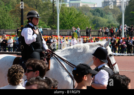 Montiert Polizei vor Buckingham Palace, London, England, Großbritannien, Europa Stockfoto