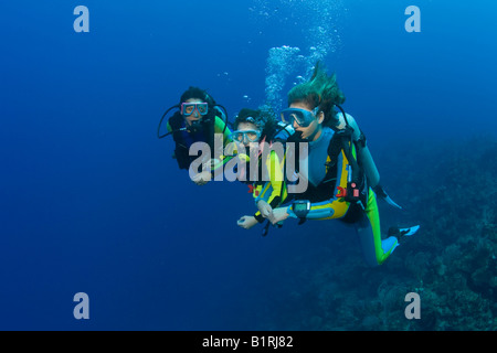 Drei Taucher, Mutter und Töchter, über ein Korallenriff Tauchen Roatan, Honduras, Mittelamerika, Karibik Stockfoto