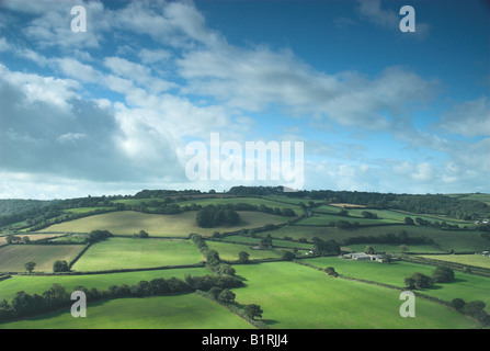 Üppigen grünen Ackerland Felder, Great Torrington, Devon, UK Stockfoto