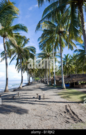 Hütten auf einer Palmenplantage am Strand, Insel Lombok, kleinen Sunda-Inseln, Indonesien, Asien Stockfoto