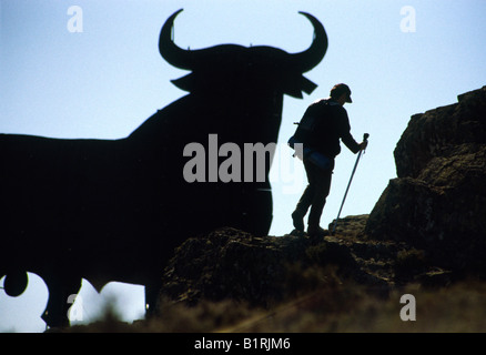 Pilgern am St. James Way, Pilger neben einem Stier, Burgos, Kastilien und Leon, Spanien, Europa, EU Stockfoto