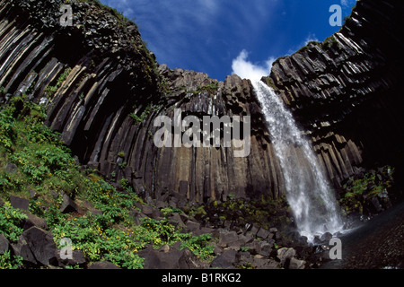 Svartifoss, Skaftafell-Nationalpark, Island Stockfoto