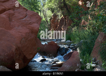 Oak Creek auf Manzanita-Campingplatz in der Nähe von Sedona, Arizona, USA Stockfoto