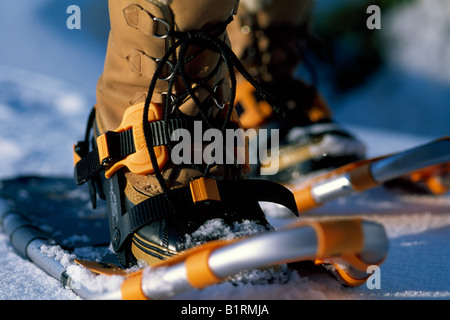 Schneeschuh-Wandern, Sexten, Dolomiten, Südtirol, Italien Stockfoto