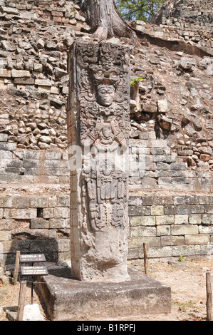 Stela P, westlichen Plaza, Copán, Honduras, Mittelamerika Stockfoto