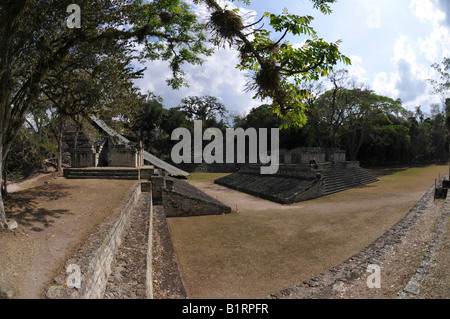 Ballspiel Court, Hauptplatz, Copán, Honduras, Mittelamerika Stockfoto