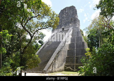 5 Tempel, Maya-Ruinen, Tikal in Guatemala, Mittelamerika Stockfoto