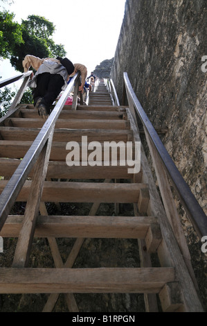 Steile Holztreppen, Tempel 5, Maya-Ruinen, Tikal, Guatemala, Mittelamerika Stockfoto