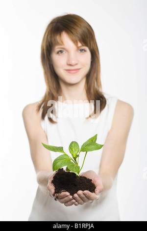 Junge Frau Schröpfen eine junge Pflanze verwurzelt im Boden in ihren Händen Stockfoto