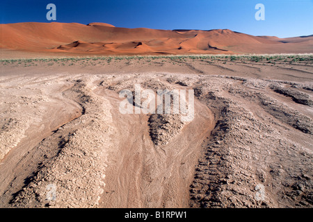 Trockene Flussbett vor den Sossusvlei Dünen in der namibischen Wüste Namib-Naukluft-Nationalpark, Namibia, Afrika Stockfoto