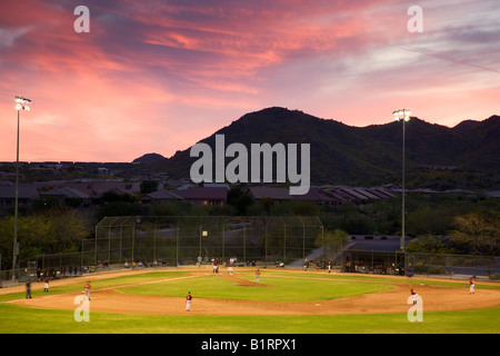 Baseball Felder Fountain Hills außerhalb von Phoenix Arizona Stockfoto