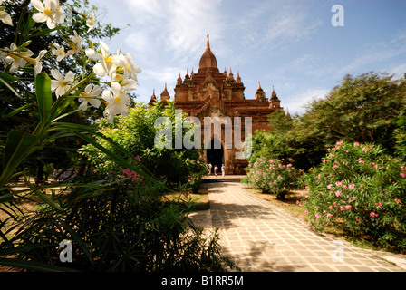 Pagode versteckt hinter Tempel Blumen, Bagan, Burma, Myanmar, Südostasien Stockfoto