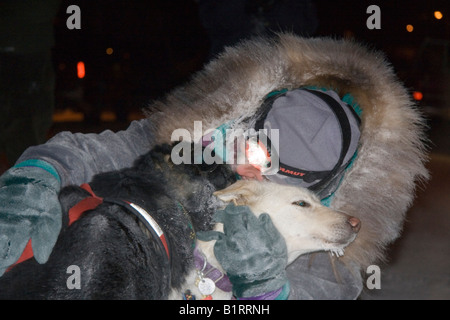 Yukon Quest Schlittenhunderennen Musher Michelle Phillips umarmt ihren führenden Hunden, Dawson City, Yukon Territorium, Kanada, Nord Amer Stockfoto