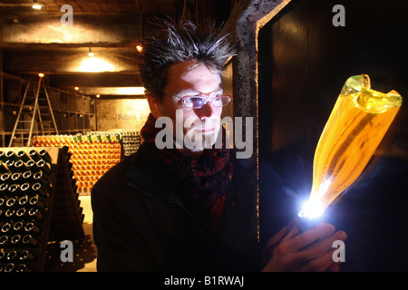 Lichtkünstler Ingo Bracke, Lichtinstallation, Keller, Richter Weinberg, Winningen, Rheinland-Pfalz, Deutschland, Europa Stockfoto