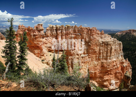 Bryce-Canyon-Nationalpark, Utah, USA Stockfoto