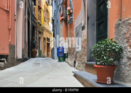 Gasse in Vernazzo, Ligurien, Cinque Terre, Italien, Europa Stockfoto