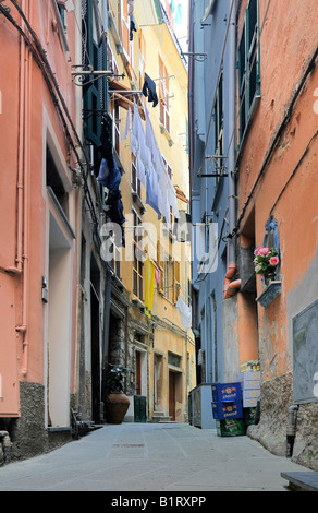 Gasse in Vernazzo, Ligurien, Cinque Terre, Italien, Europa Stockfoto