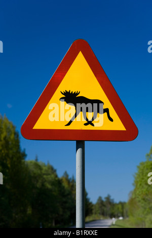 Warnschild, Elk crossing, Schweden, Skandinavien, Europa Stockfoto