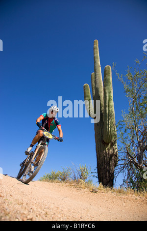 Das 2008 Pro Mens Kenda Cross Country Rennen im Rahmen des National Mountain Bike Serie Rennen McDowell Berg Regionalparks Stockfoto