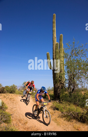 Das 2008 Pro Mens Kenda Cross Country Rennen im Rahmen des National Mountain Bike Serie Rennen McDowell Berg Regionalparks Stockfoto