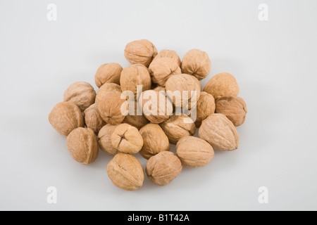 Walnüsse auf weißem Hintergrund Stockfoto