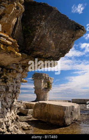 Dolomit oben weicher Kalkstein in Seastacks am Ufer des Flowerpot Island Kanada Stockfoto