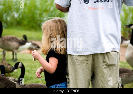 Einem Jungen 3 bis 4 Jahre alten kaukasische Mädchen gegen ihren Vater für Sicherheitsoffensiven und Feeds Kanada Gänse an einem See. Stockfoto