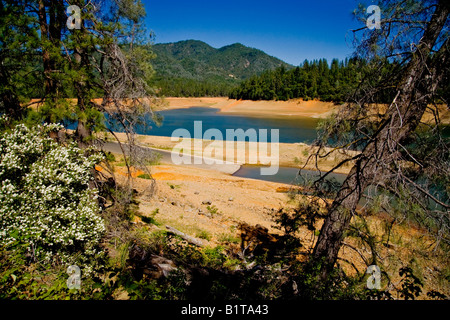 Dought Bedingungen lassen große Bereiche der Bank ausgesetzt am Shasta Lake Kalifornien Shasta Lake ist ein Stausee Stockfoto