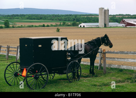 Amische Pferd und Buggy, Ackerland, Pennsylvania Stockfoto