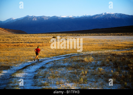 Einsame männliche Trailläufer in der östlichen Sierra Mountain, Kalifornien Stockfoto