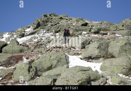 Appalachian Trail... Franconia Ridge Trail in den White Mountains New Hampshire Stockfoto