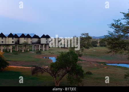 Tiere an Wasserstellen Sarova Salt Lick Lodge Taita Hills Game Reserve Küste Kenia Stockfoto
