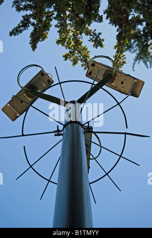 vor einem blauen Himmel und die überhängenden Äste eines Baumes, drei cctv-Kameras an einem Mast durch ein Metallgitter geschützt sehen Stockfoto