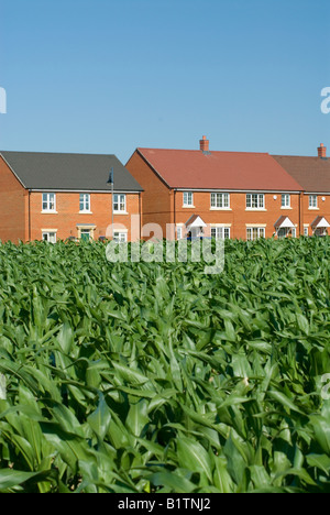 Wohnsiedlung auf der grünen Wiese in der Nähe von Ashford Kent Stockfoto