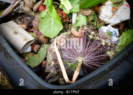 Inhalt einer offenen schwarzen Kunststoff Kompost Stockfoto
